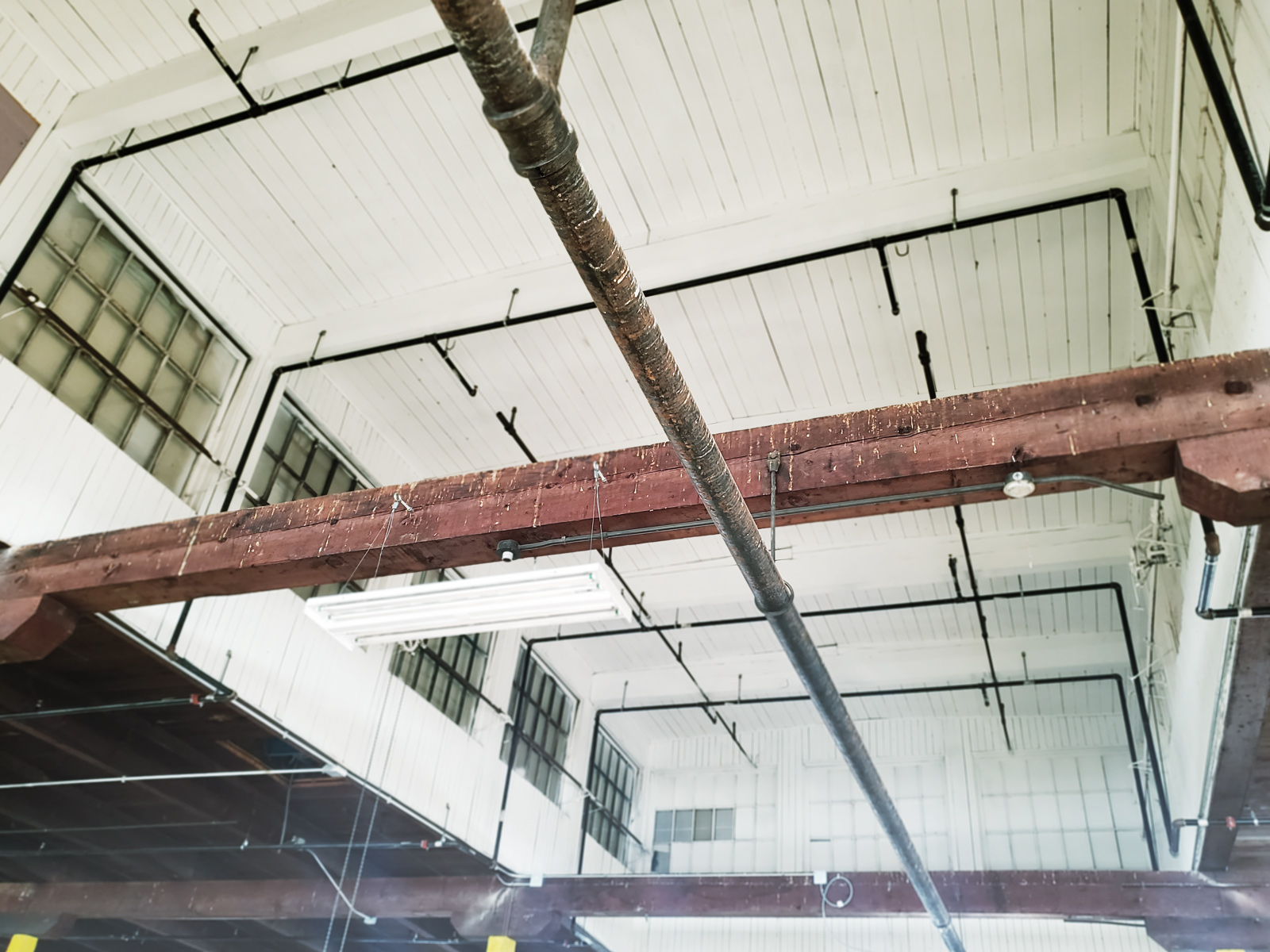 Industrial beams covered in bird droppings.