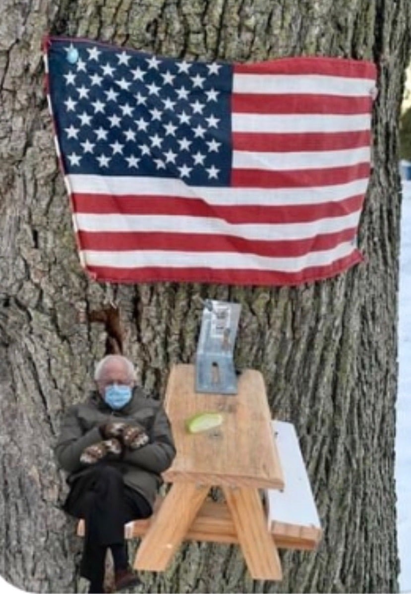 Squirrel picnic table with Bernie