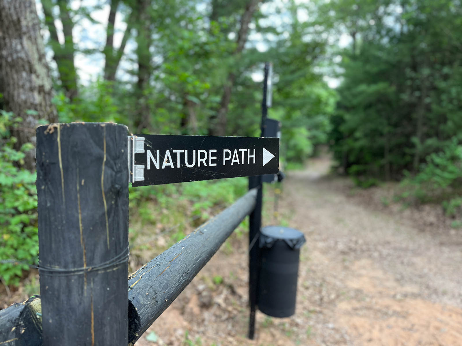 nature trail