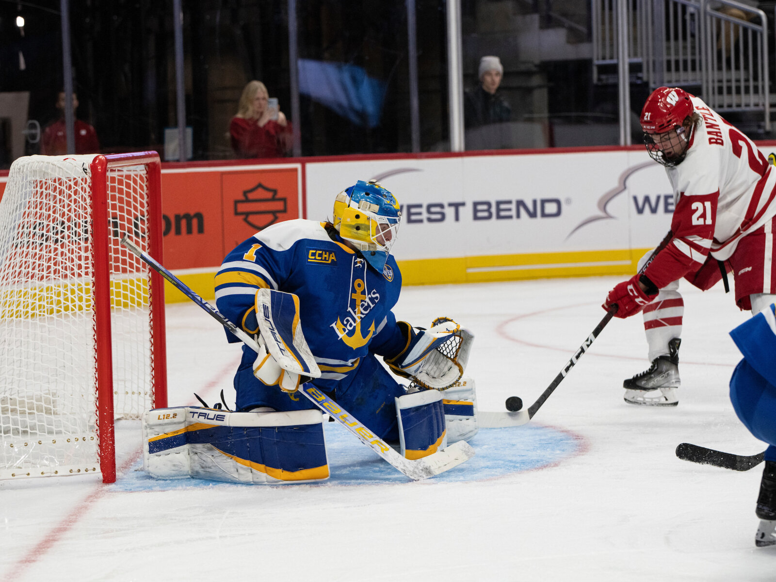 Badgers hockey