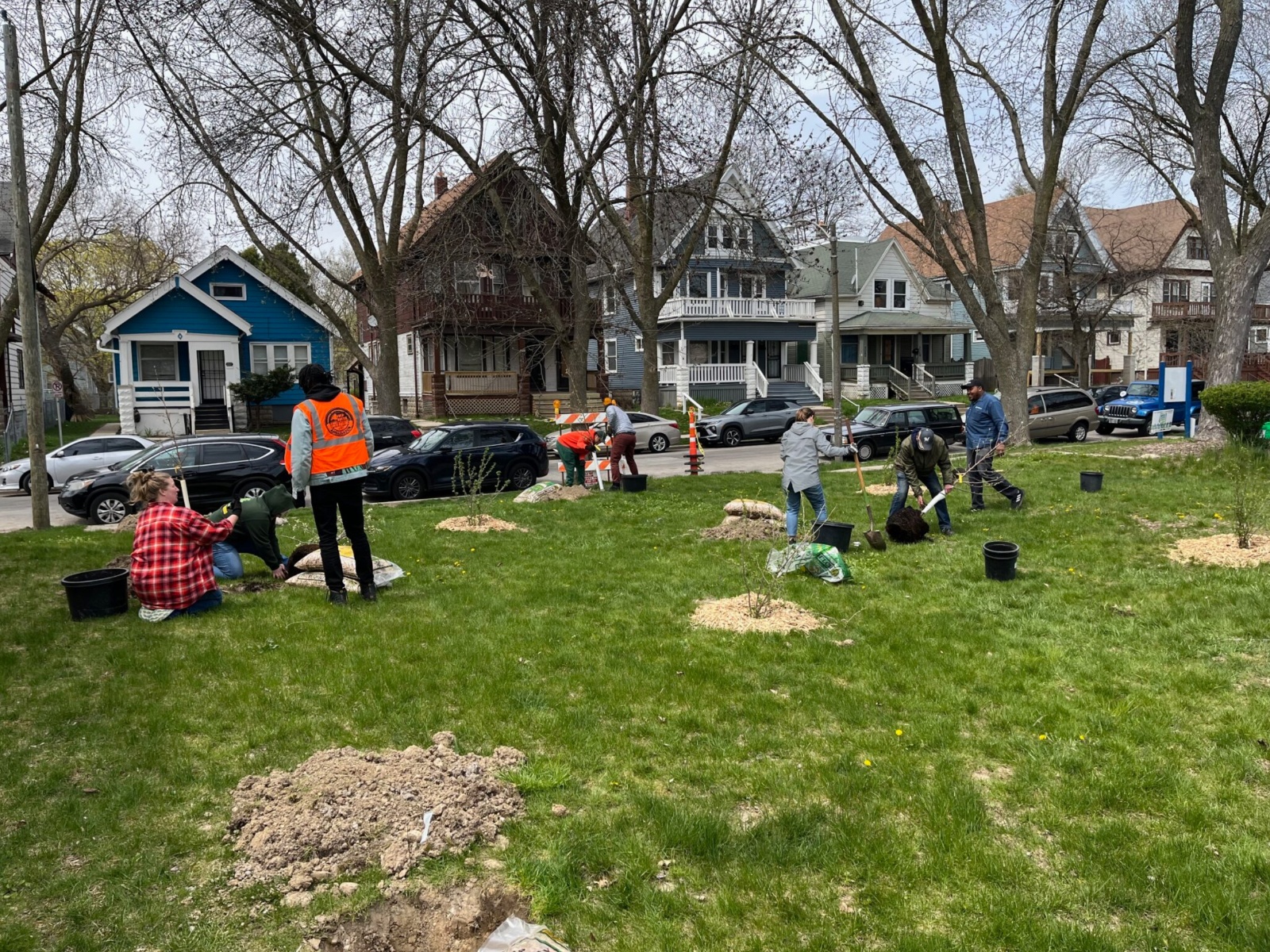 Branch Out Milwaukee is planting 250 new trees in Sherman Park