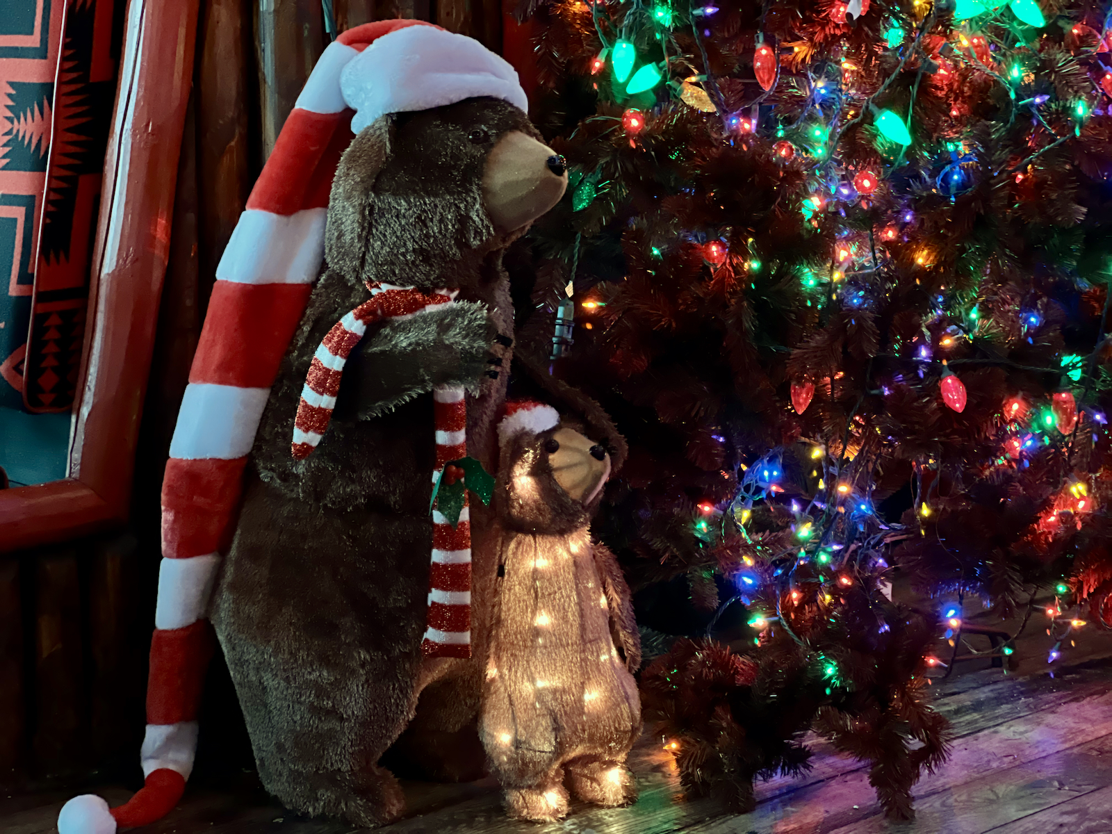 Holiday bears