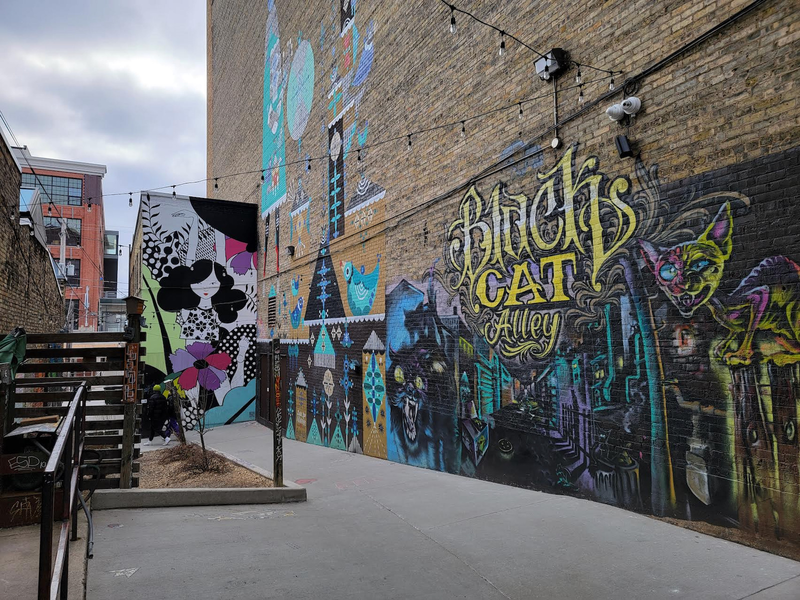 black cat alley