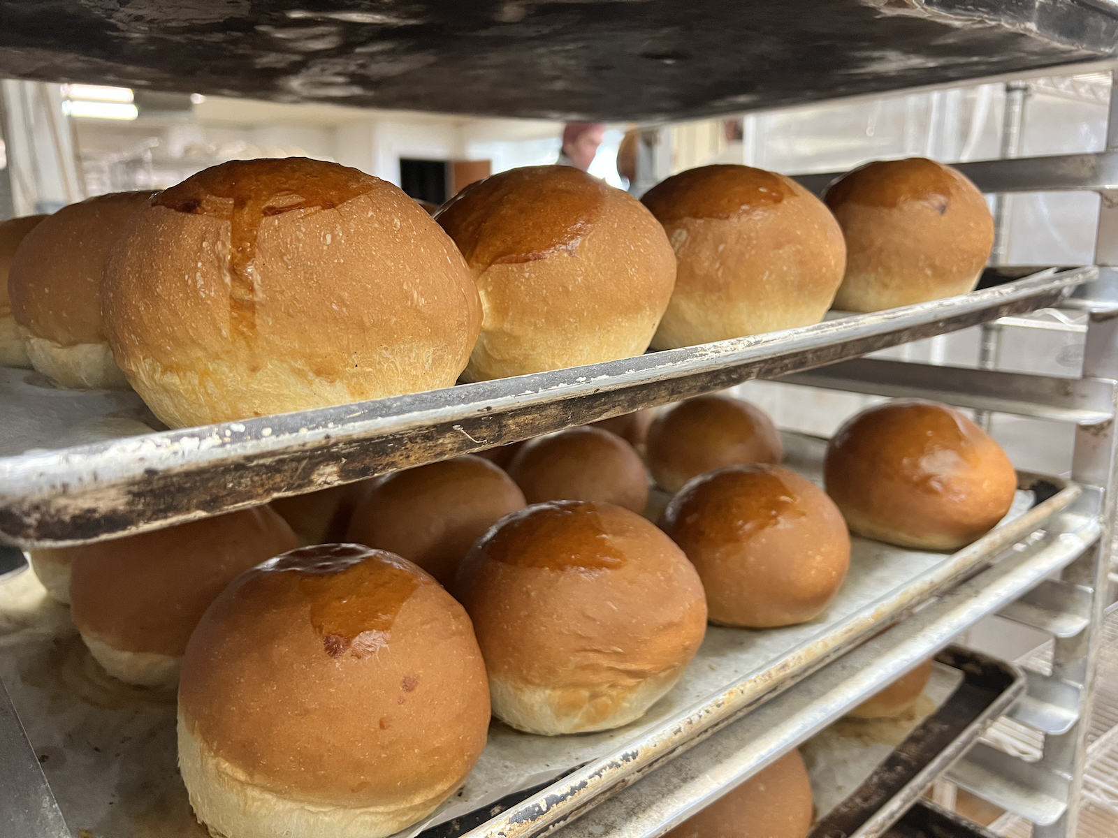 Wild Flour hamburger buns