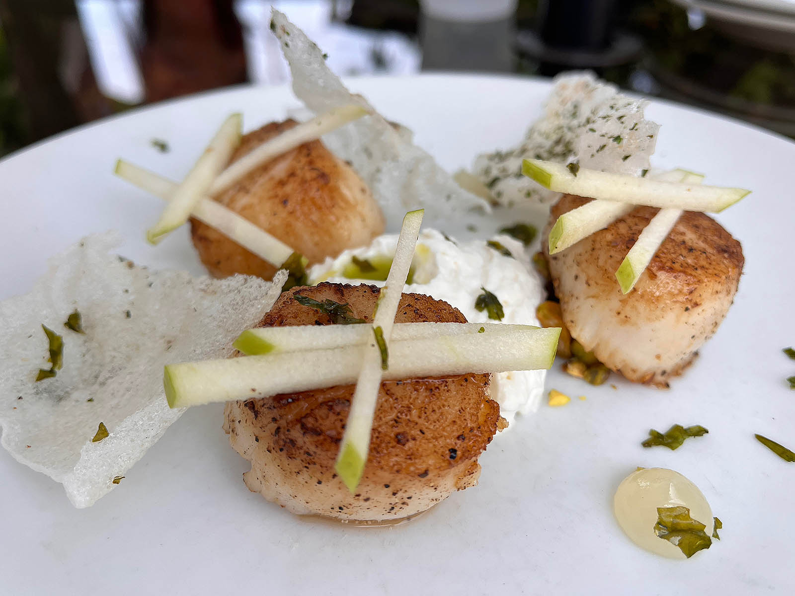 scallops