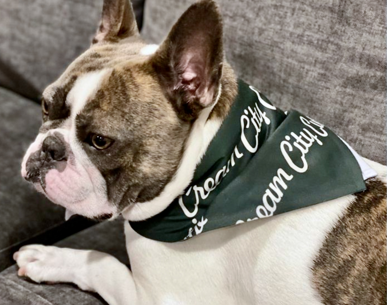 Raising Good puppy bandana