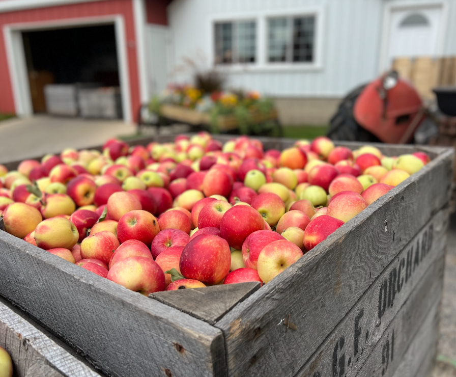 Apple Picking Guide