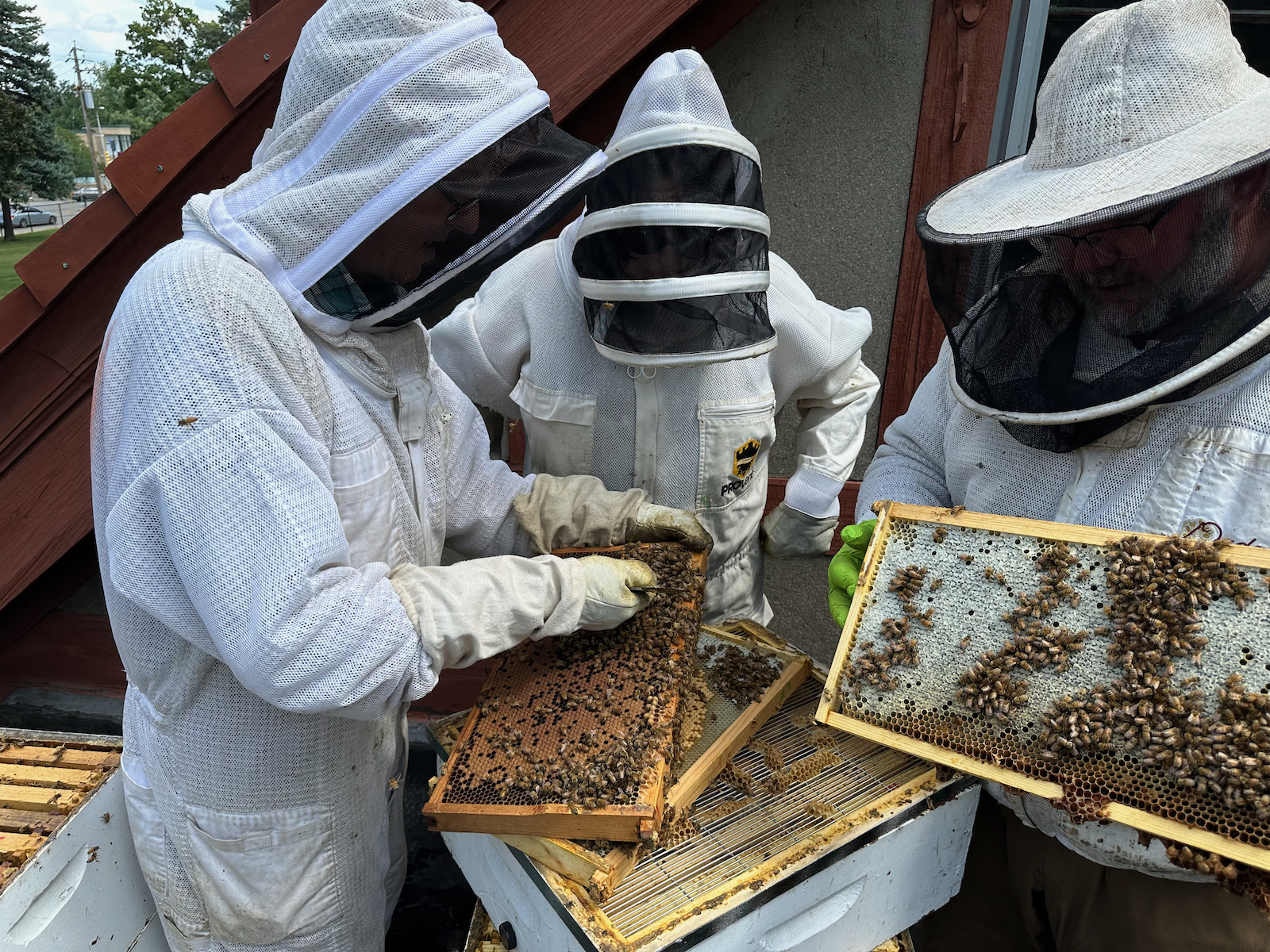 forest home cemetery bees