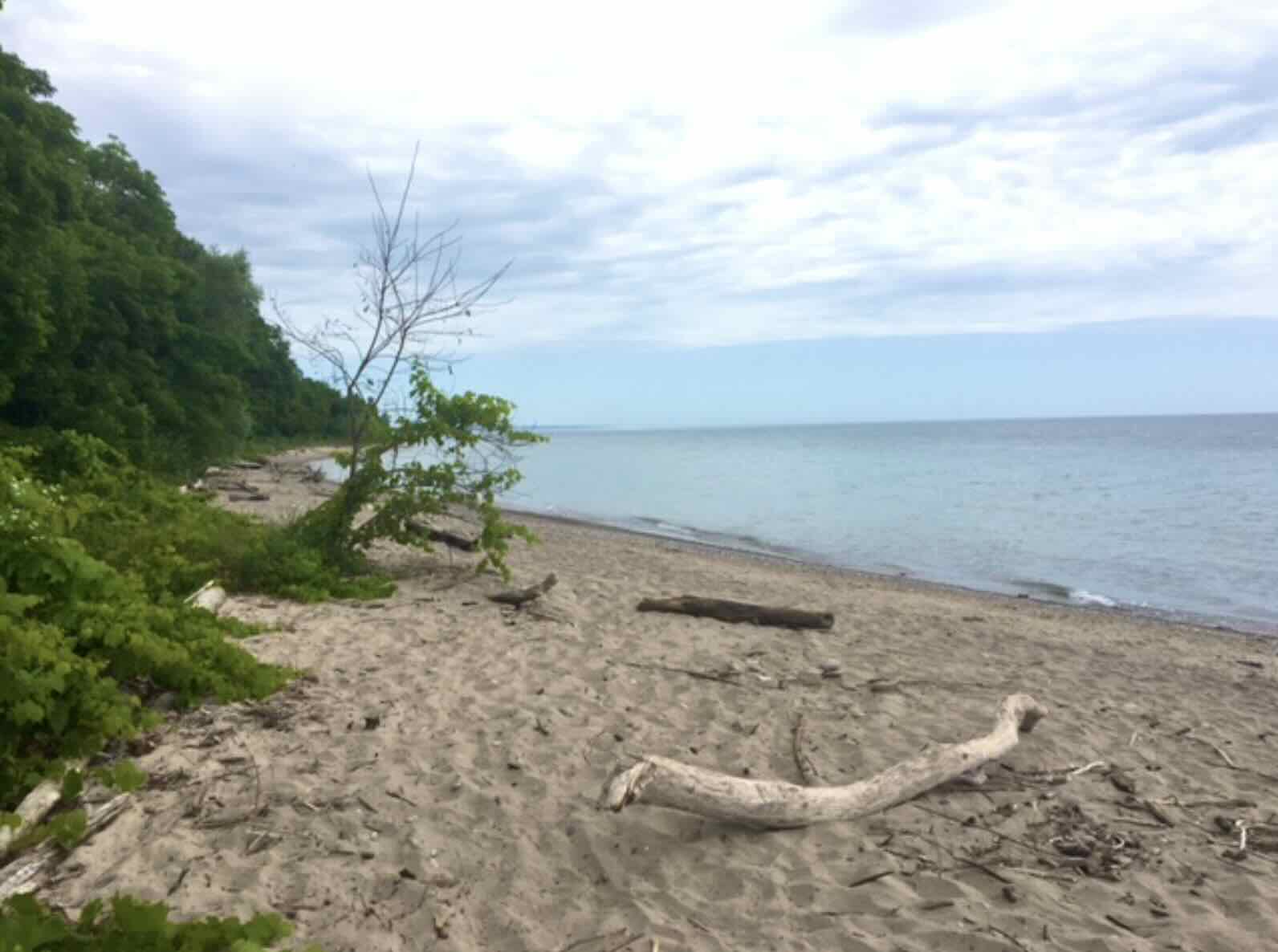 Doctor's Park Beach