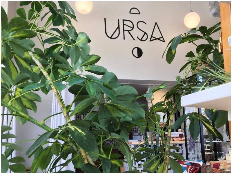 Ursa