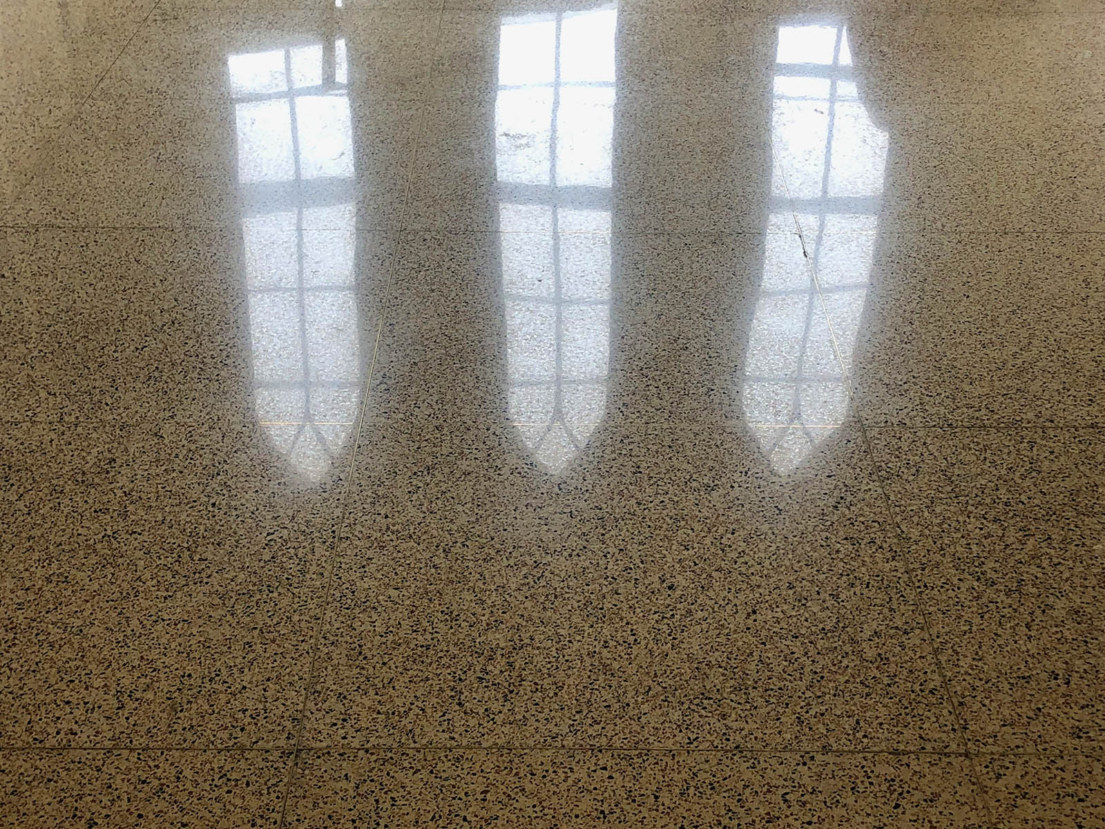 Terrazzo floors