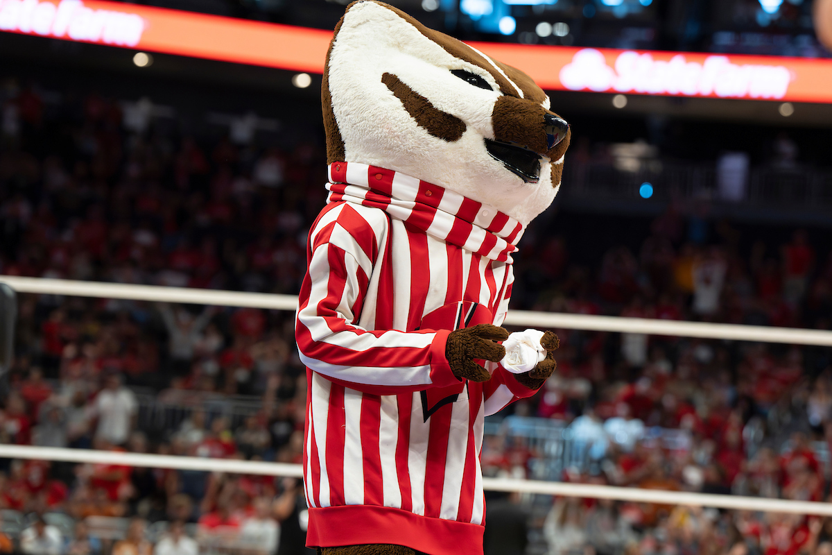 Bucky Badger