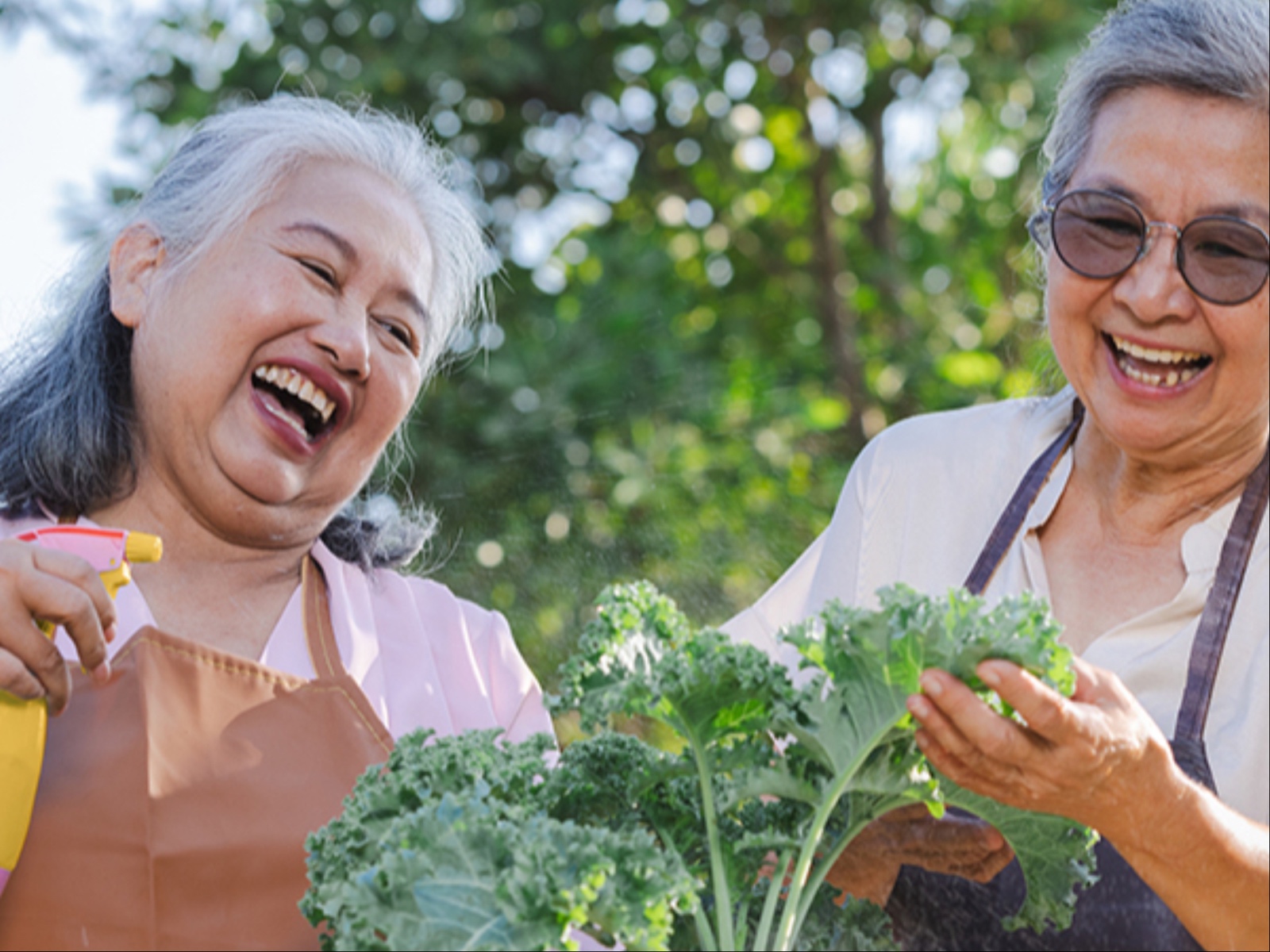 Older people gardening