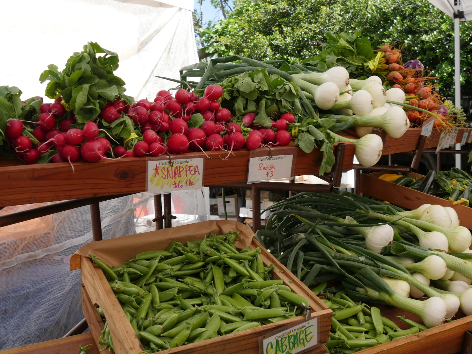 Typically peas are available as a spring crop