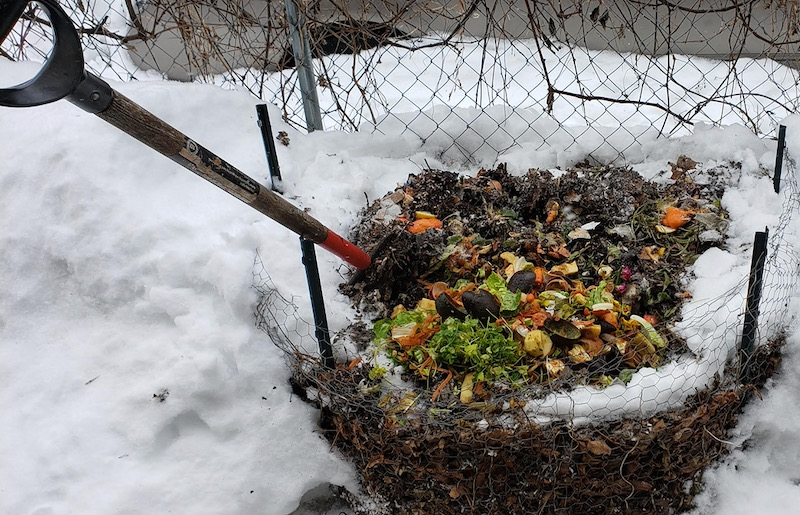 compost in winter