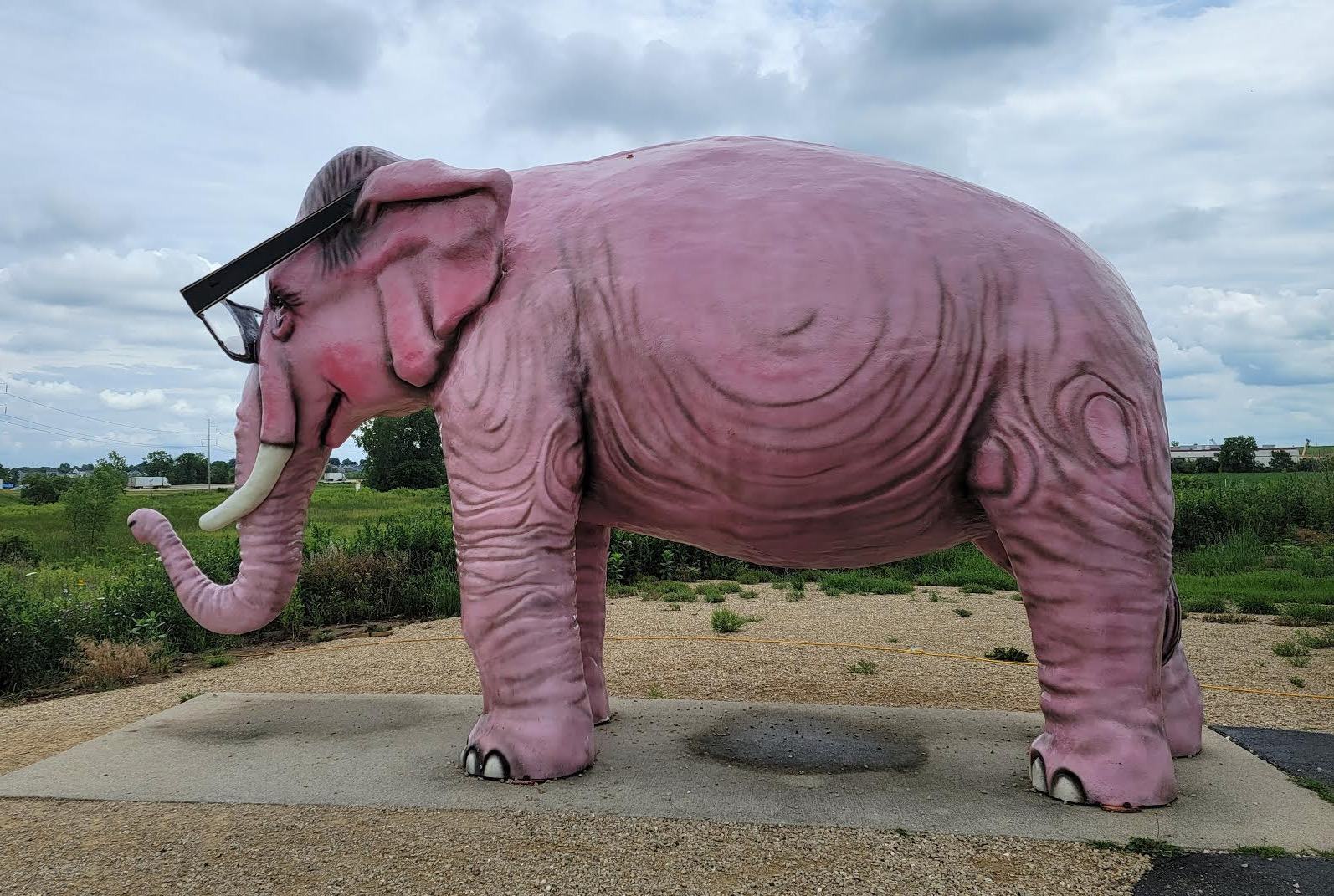 pink elephant