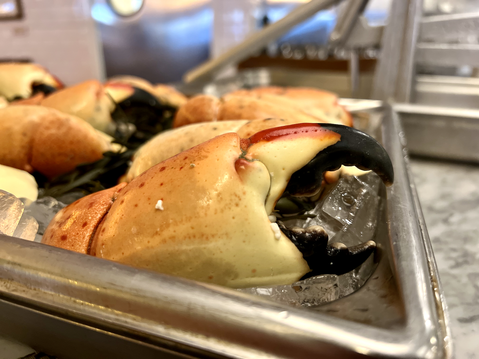 Stone Crab Claw