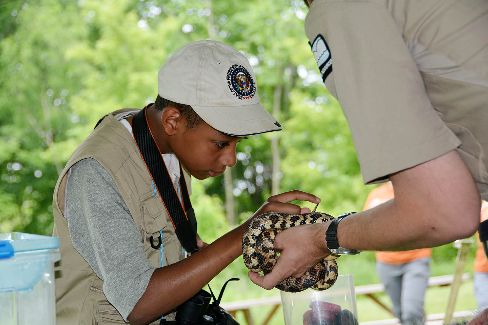 BioBlitz