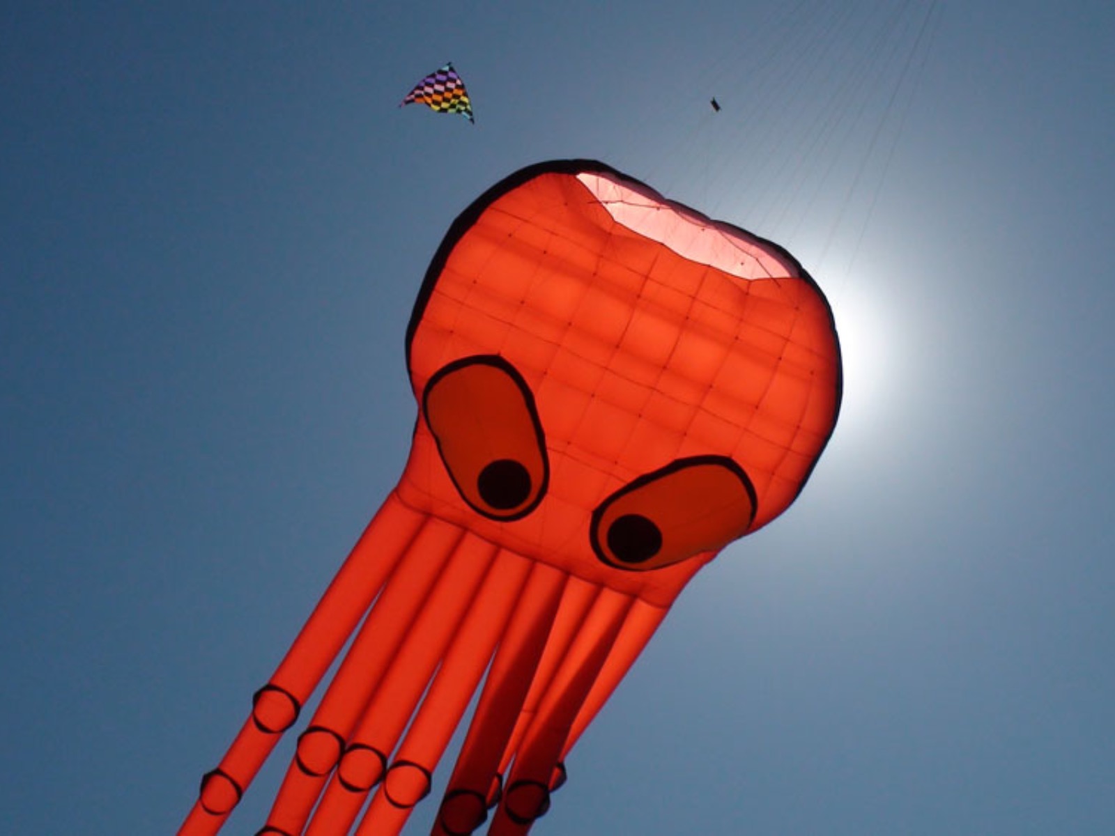 Octopus kite