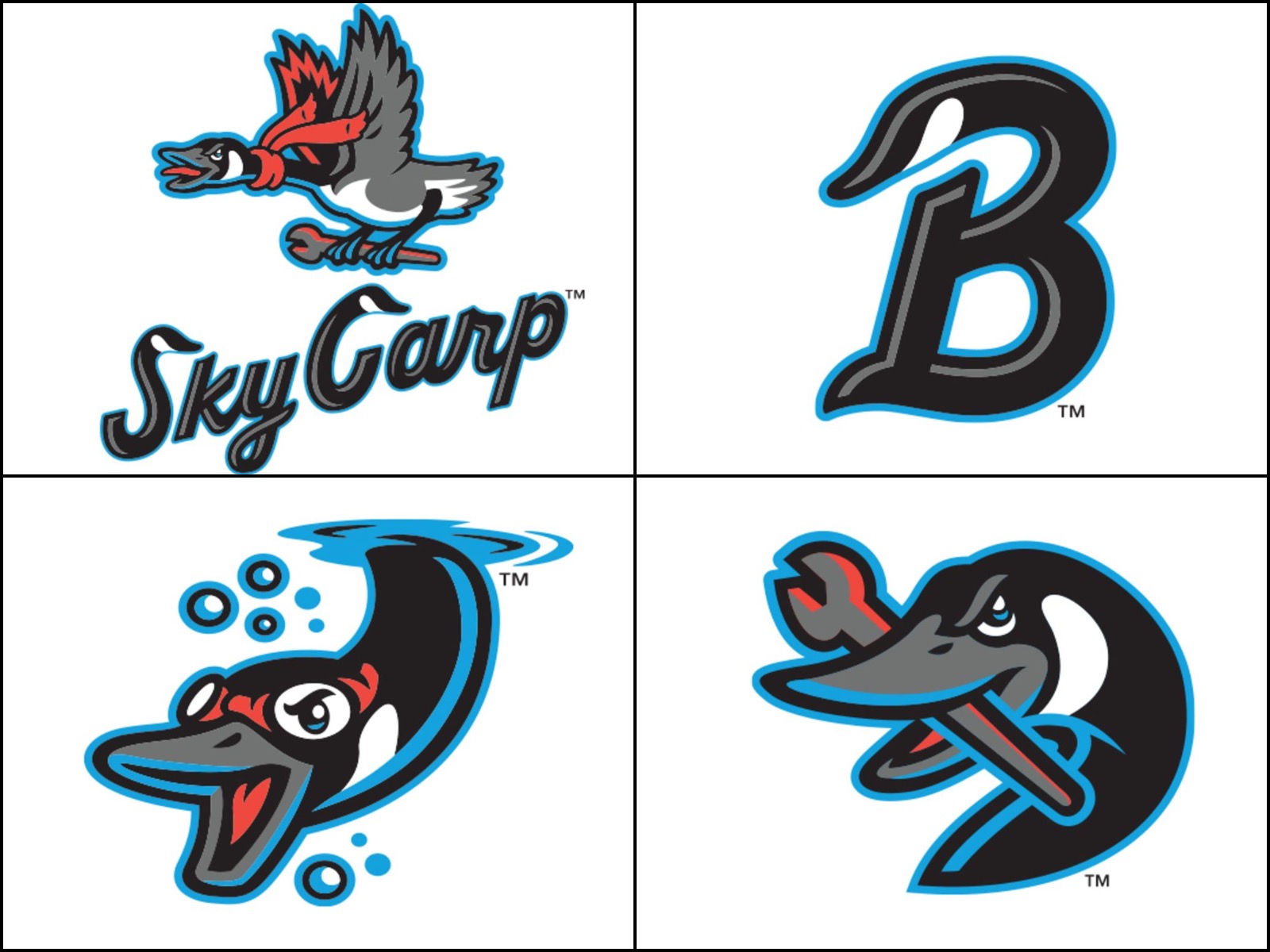 The Beloit Snappers Are Now The Sky Carp