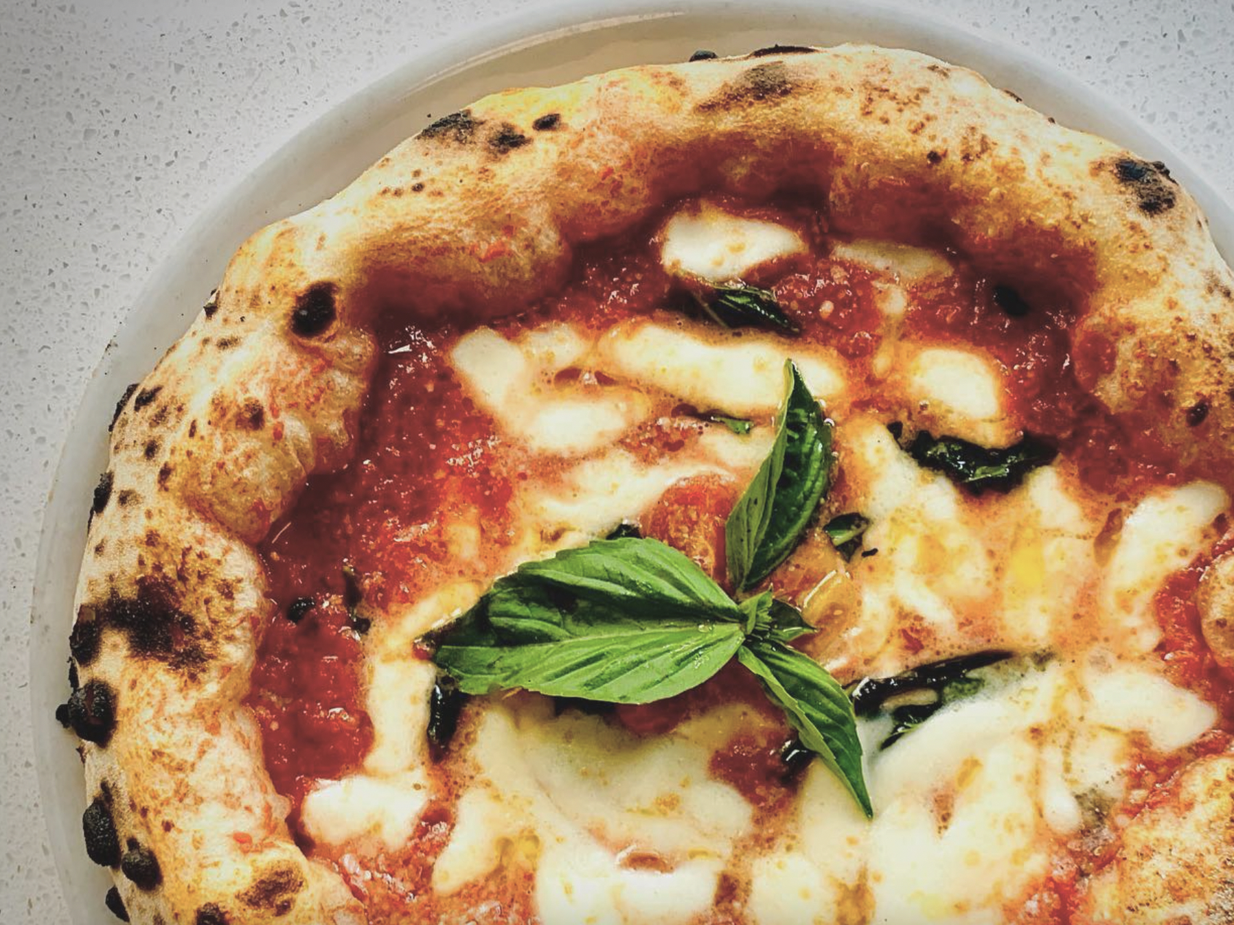 Margherita pizza - neapolitan style