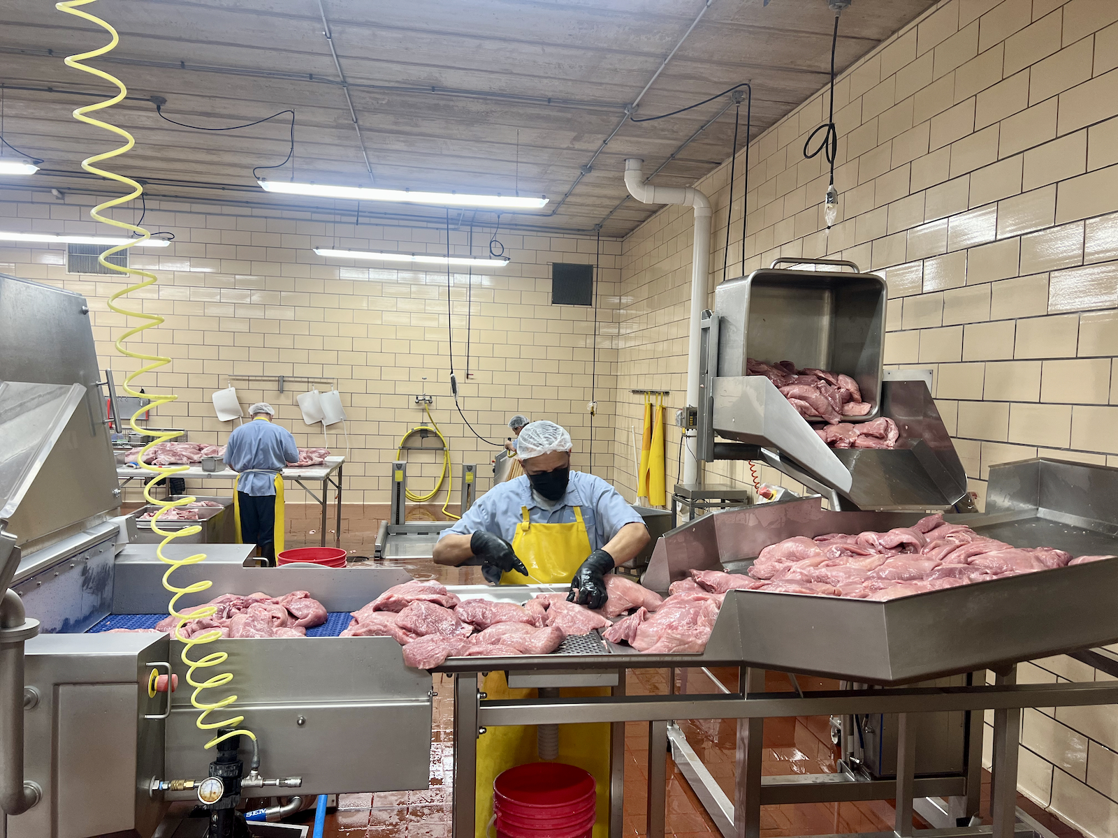 Employee sorting pork slated for brining