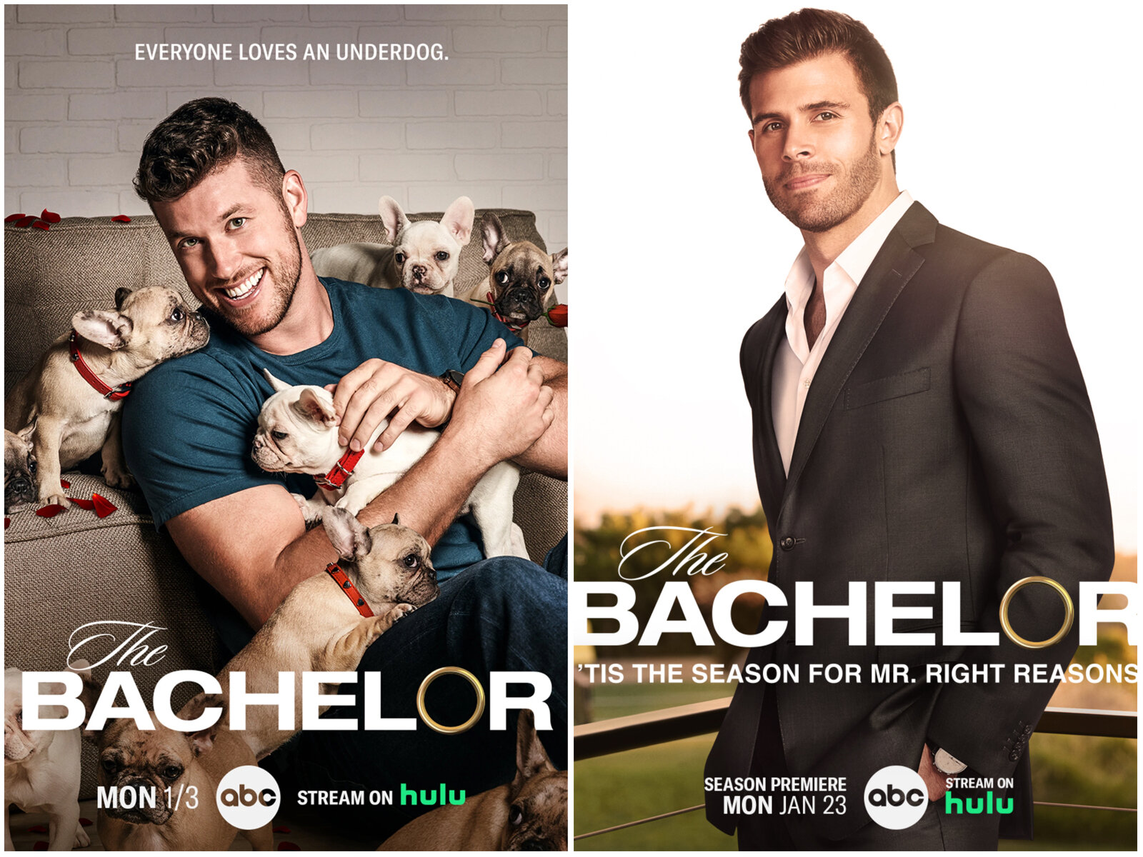 The Bachelor ads