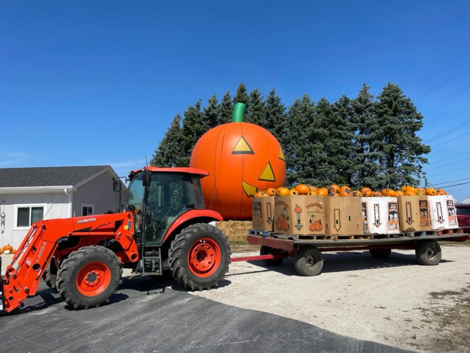 Photo by: Swan's Pumpkin Farm