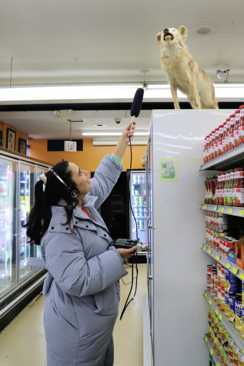 Bodega search