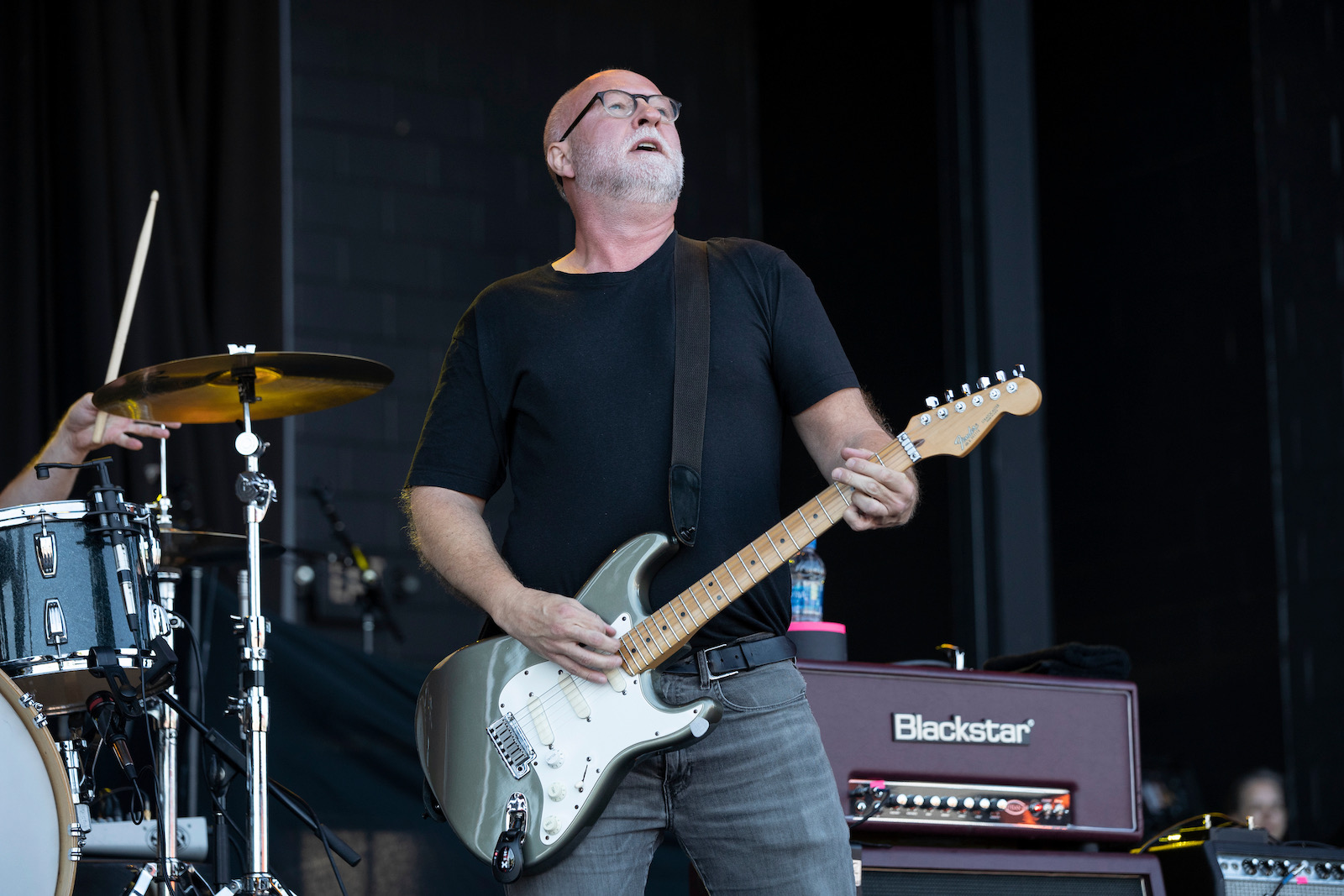 bob mould