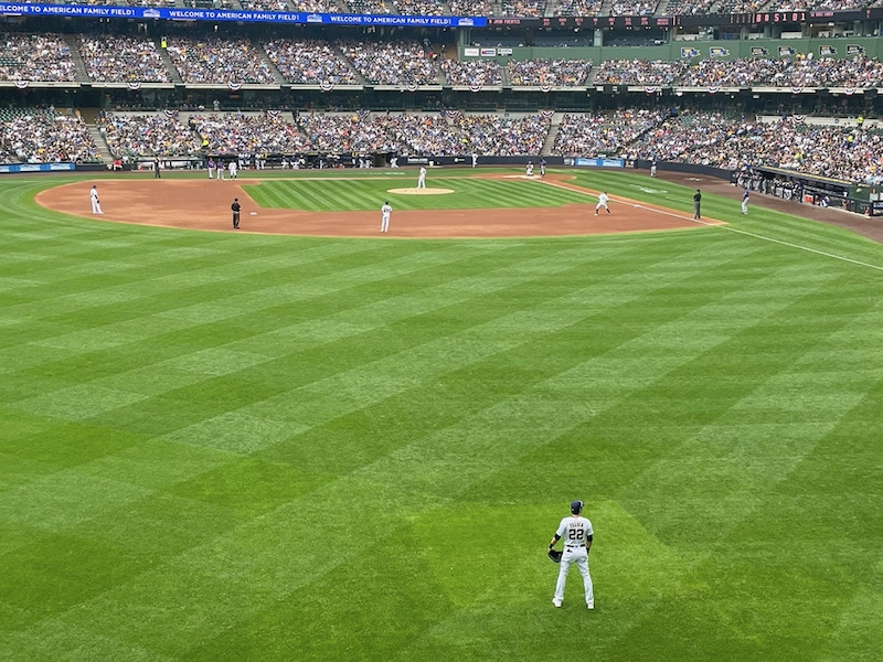 Guaranteed Rate Field Miller Lite Landing 