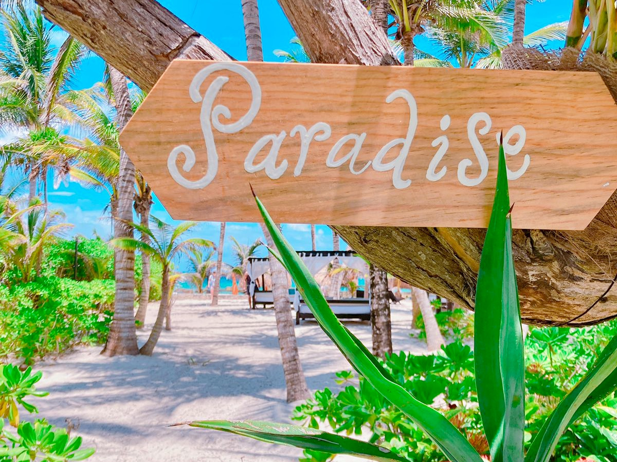 Paradise sign and tropical view