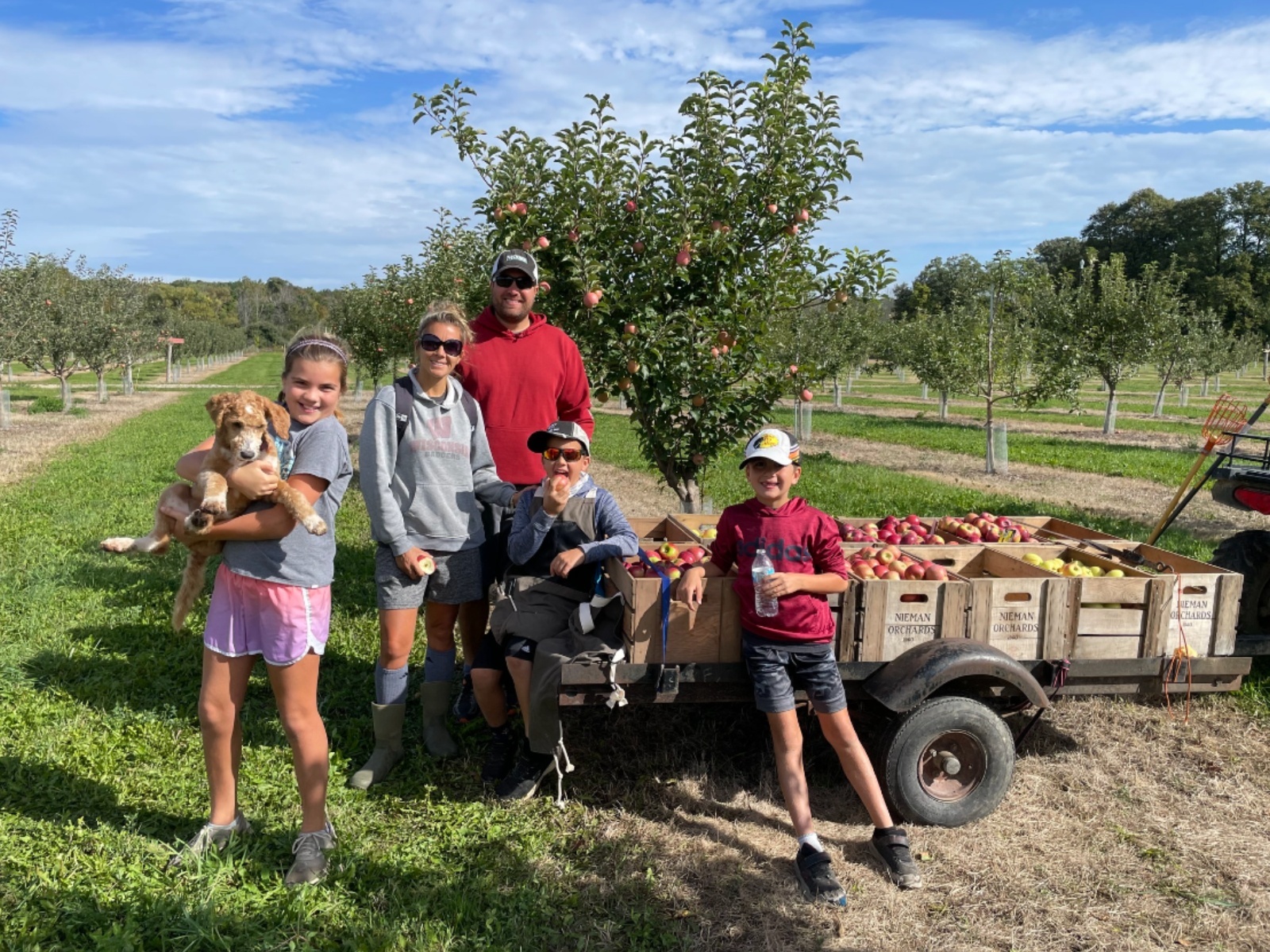 Honey Crisp Apples - Basket of 6 - Walnut Creek Farm