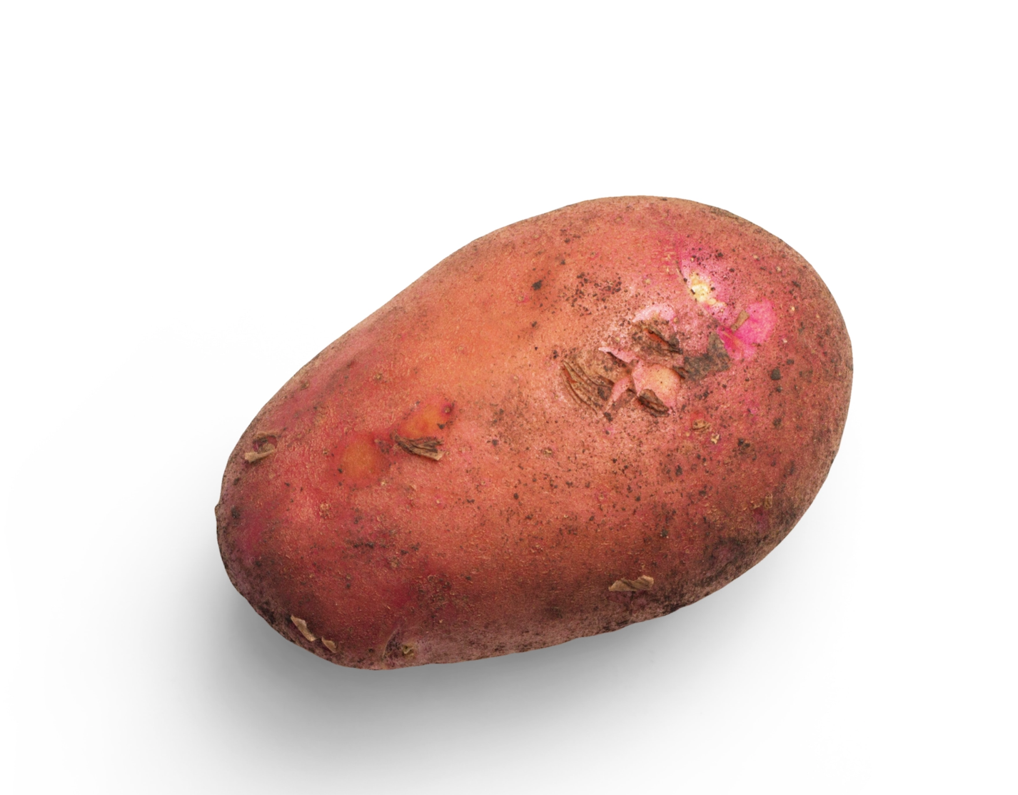 Potato shop