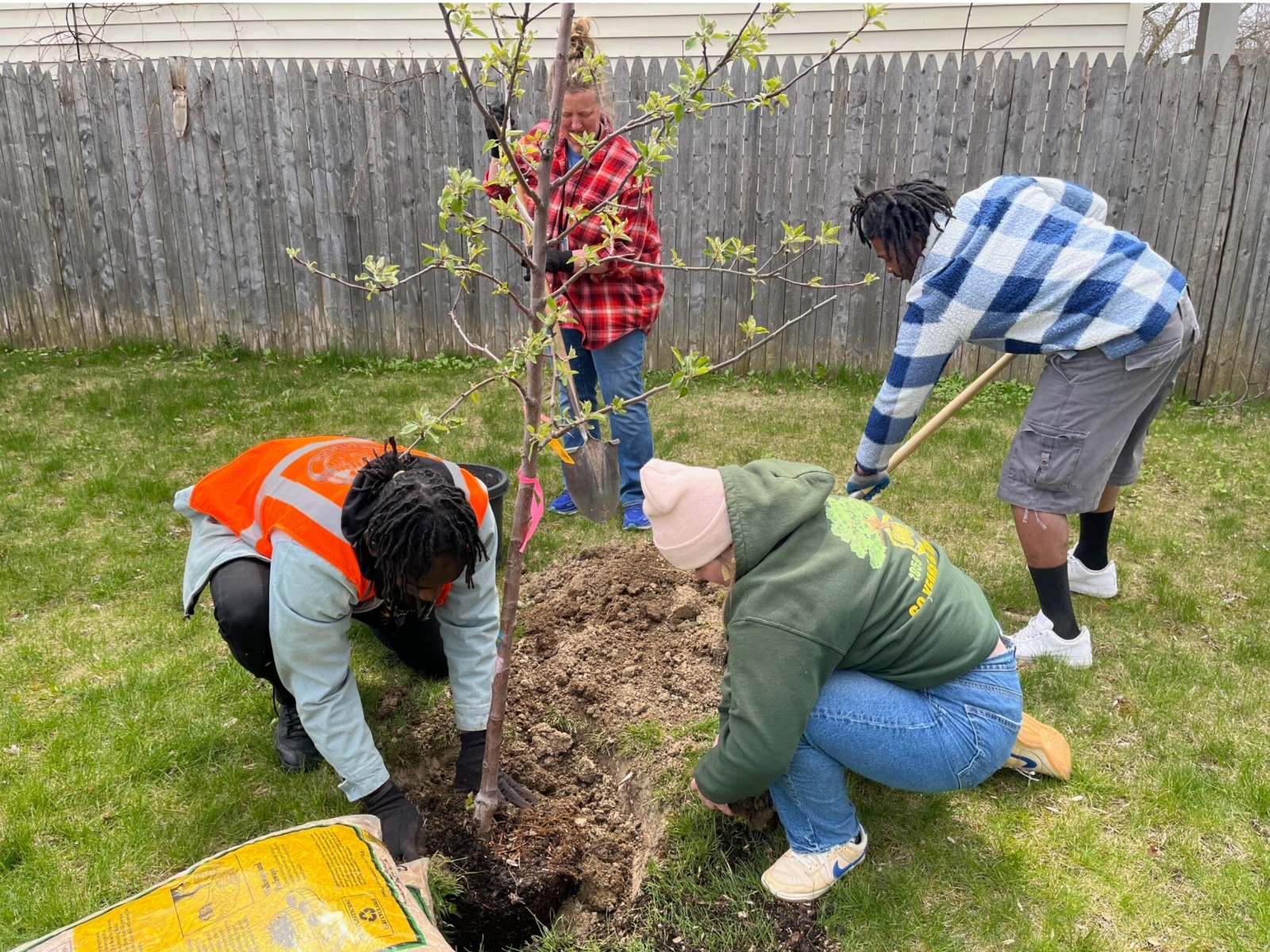 Branch Out Milwaukee is planting 250 new trees in Sherman Park