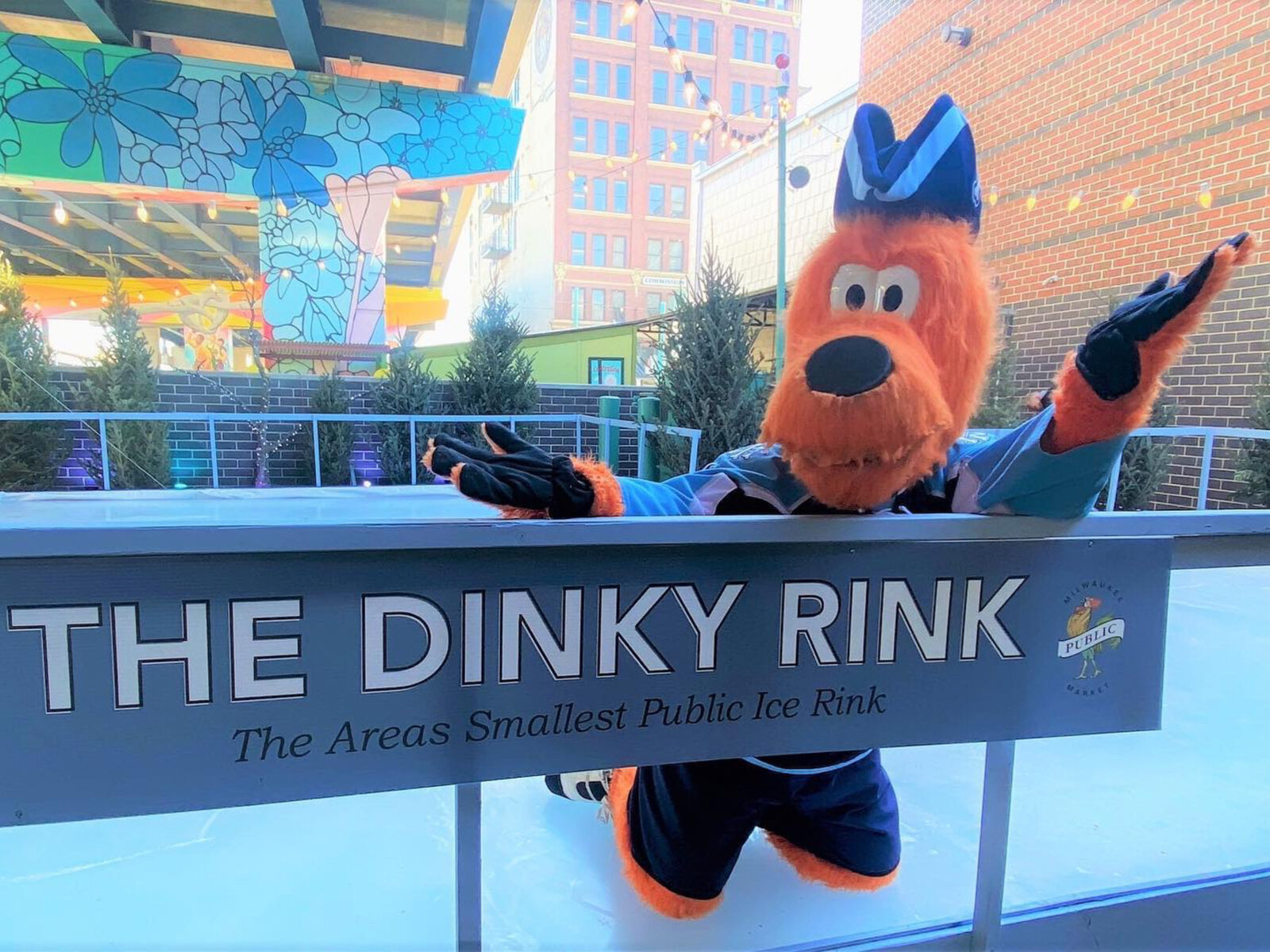 ice skating rink cartoon