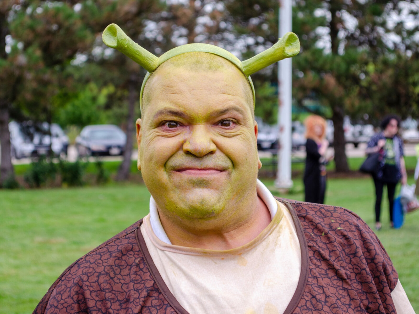 Shrek meme face - Shrek - Pin