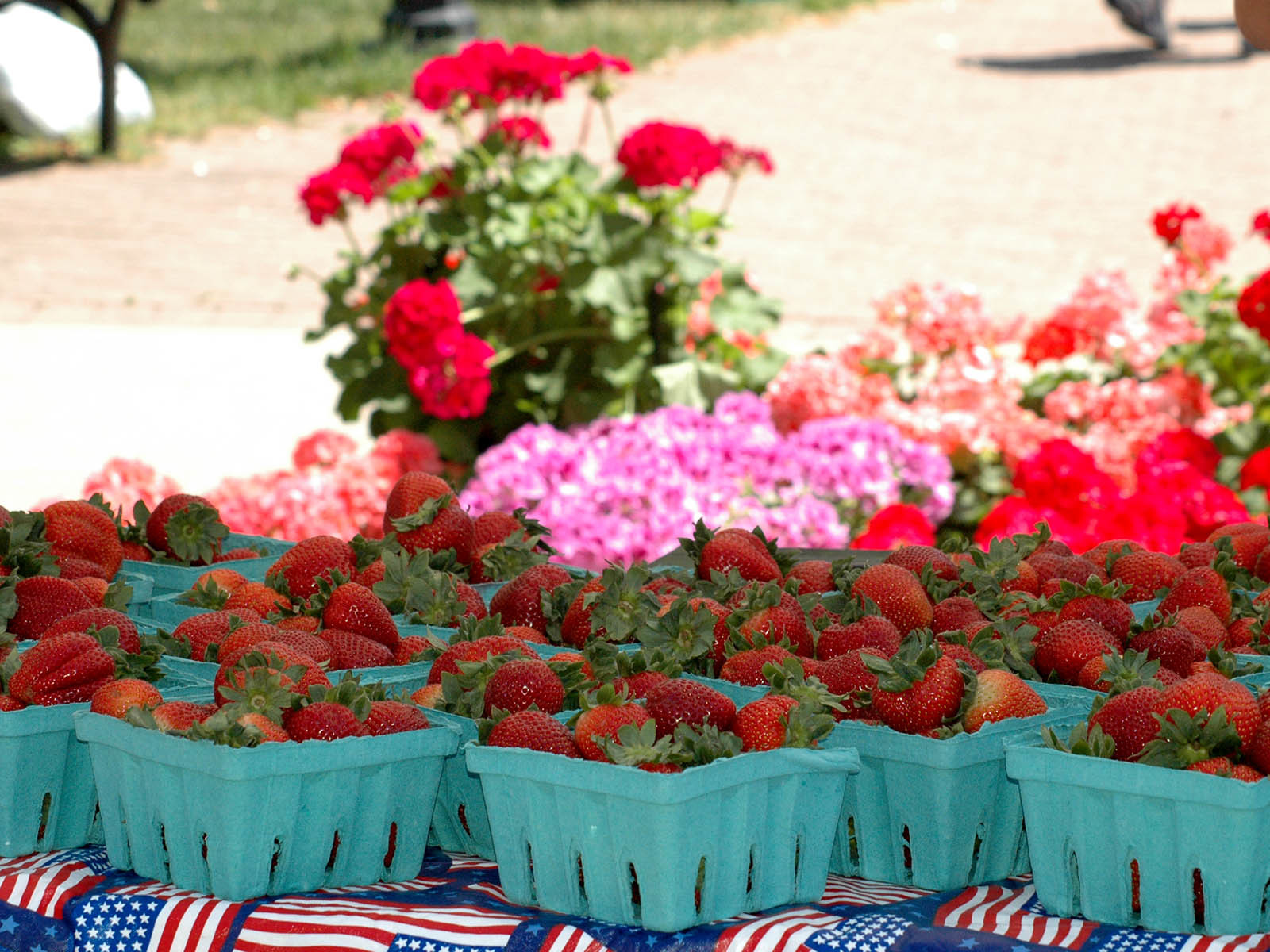 Cedar Creek Settlement Strawberry Festival visitors