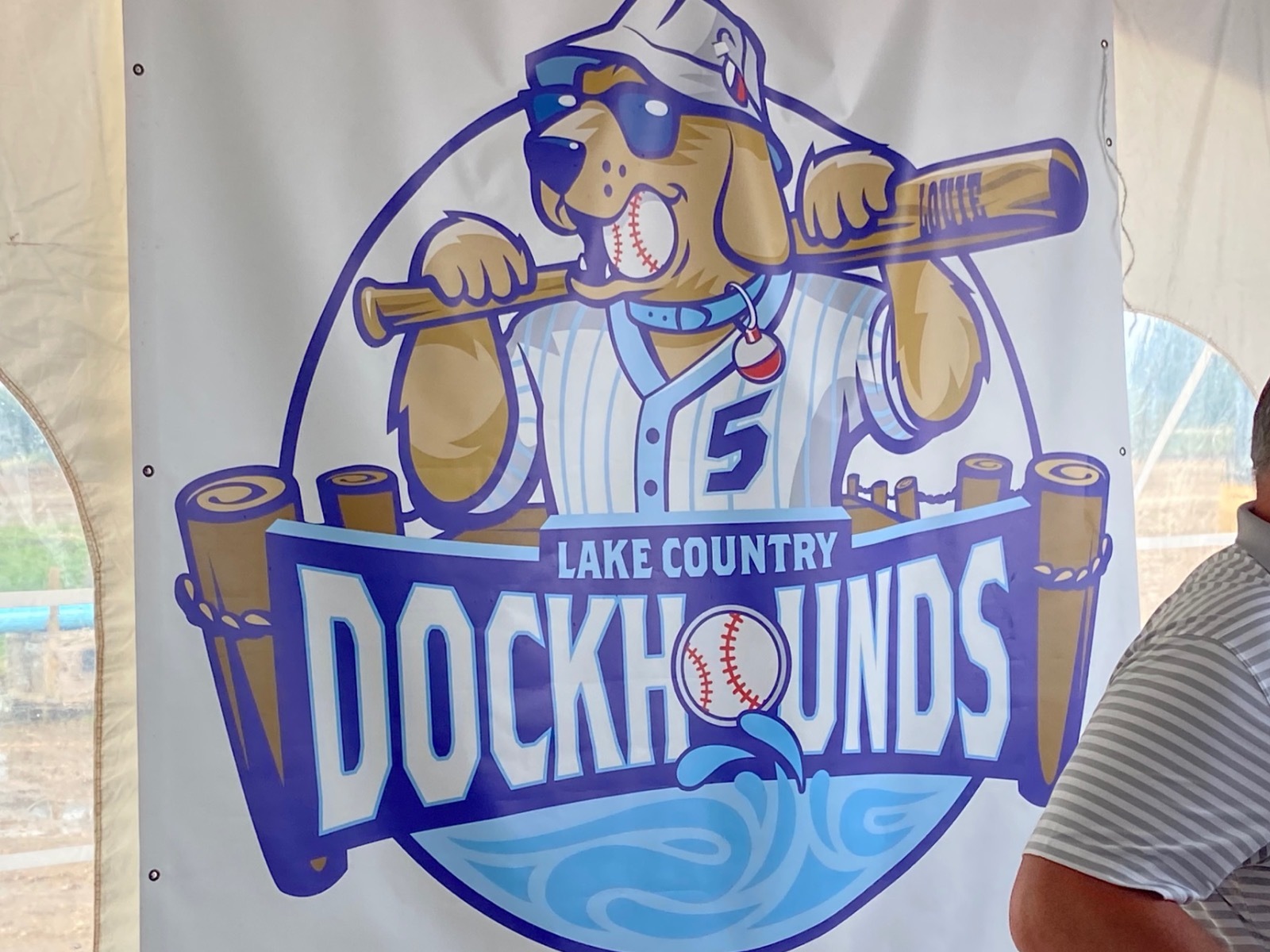  New minor league logos turn up in Savannah