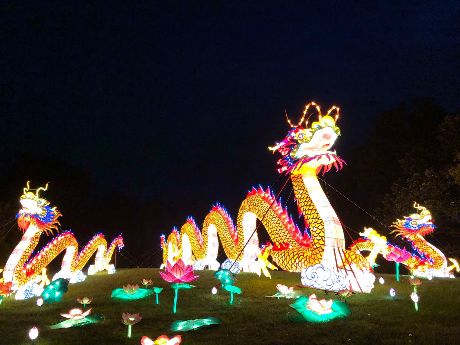 Lights returns to Botanical Gardens this year