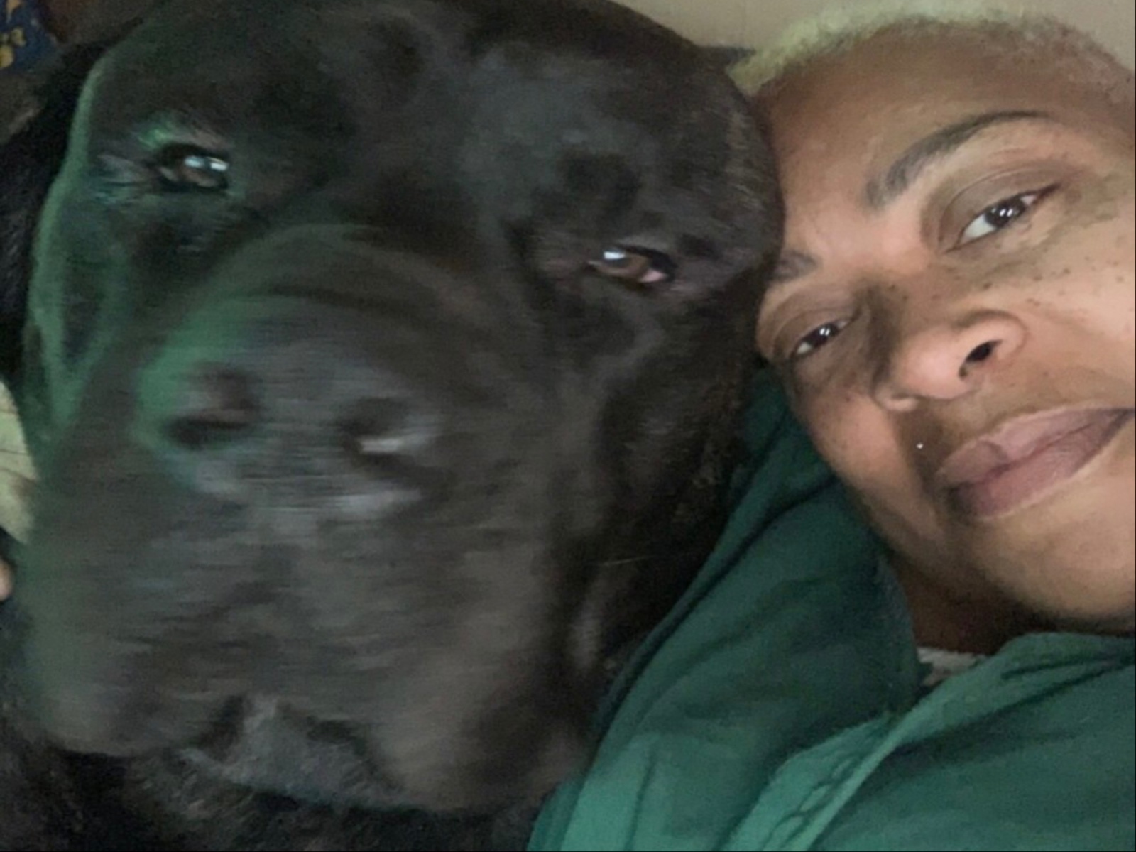 North Side residents can get free pet care services with Pets for Life