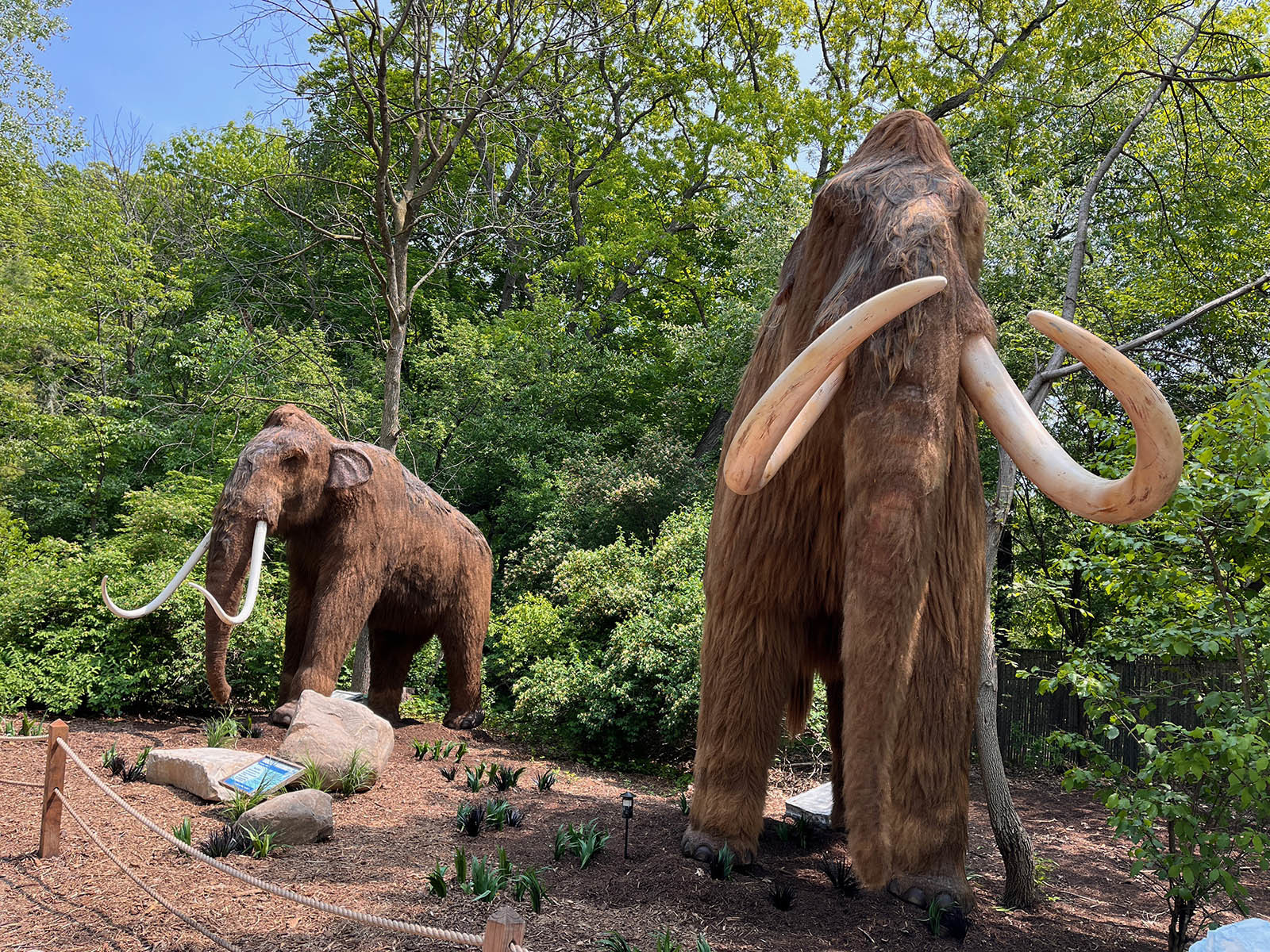 El «viaje de la edad de hielo» de Dino Don en el zoológico