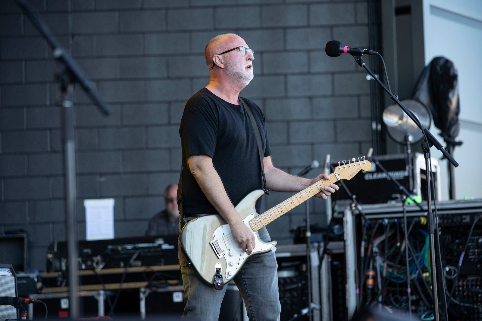 bob mould