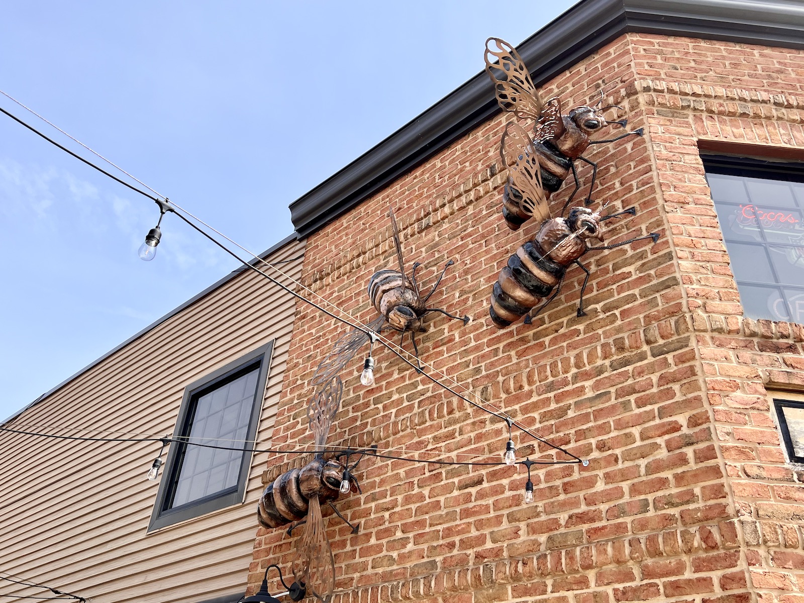 Bees on building