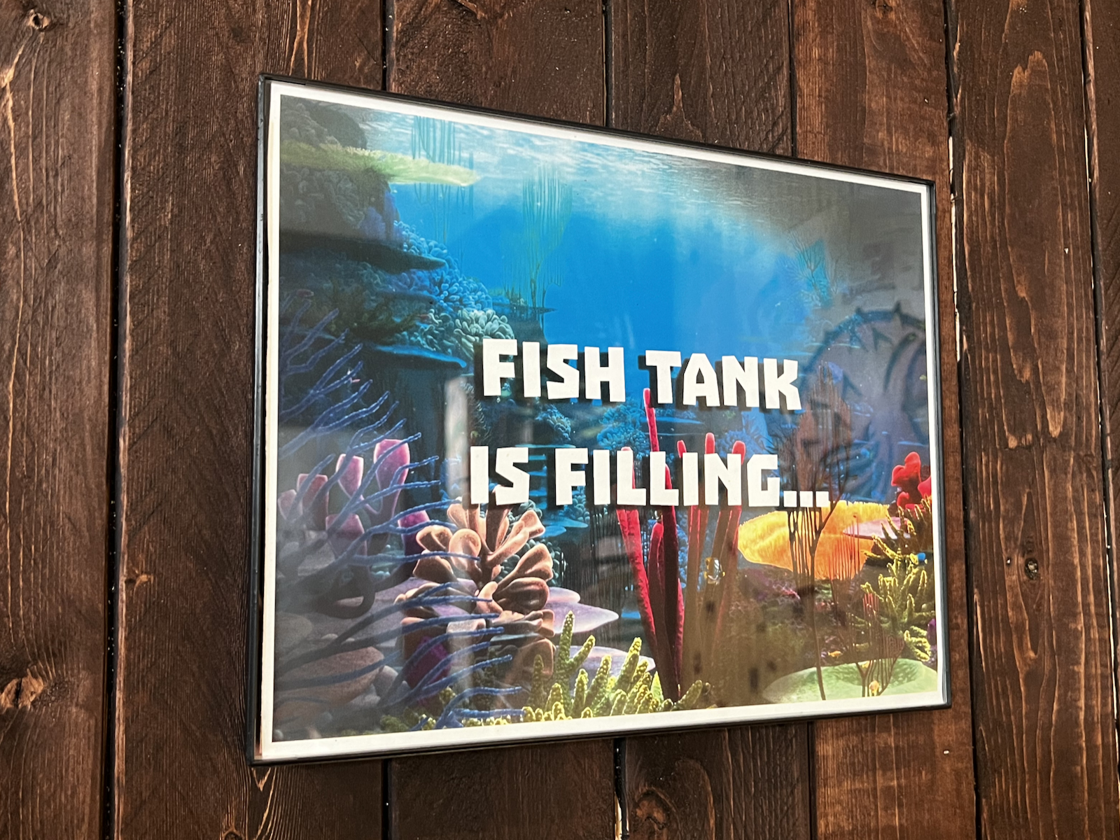 Fish bowl sign