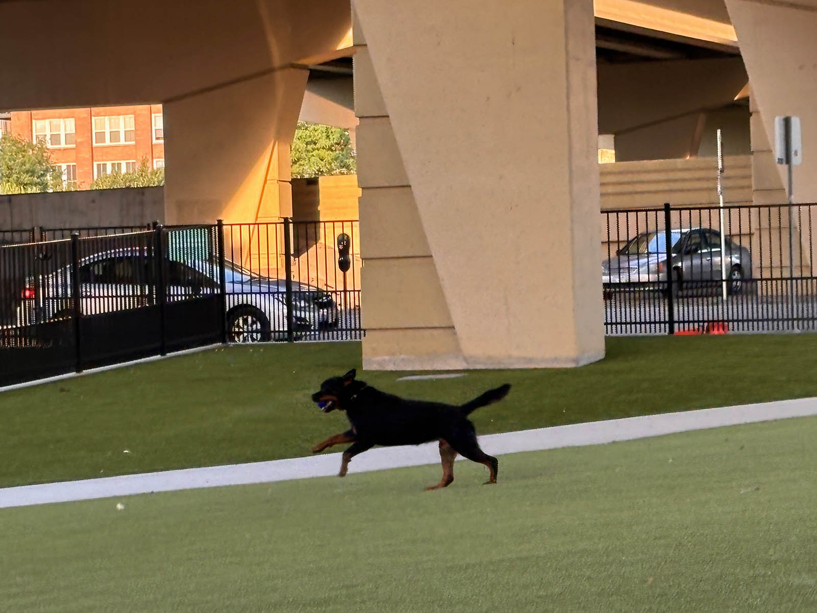 MKE Dog Park
