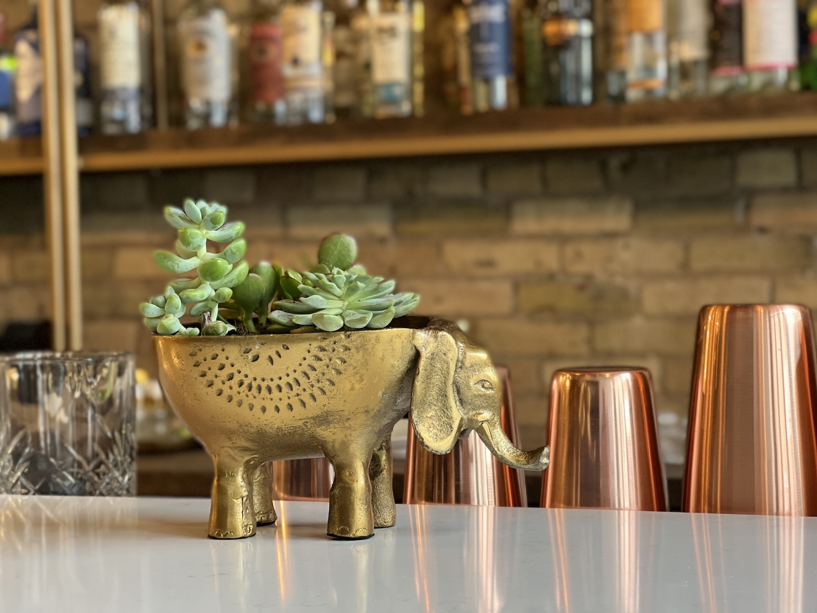 Elephant on bar