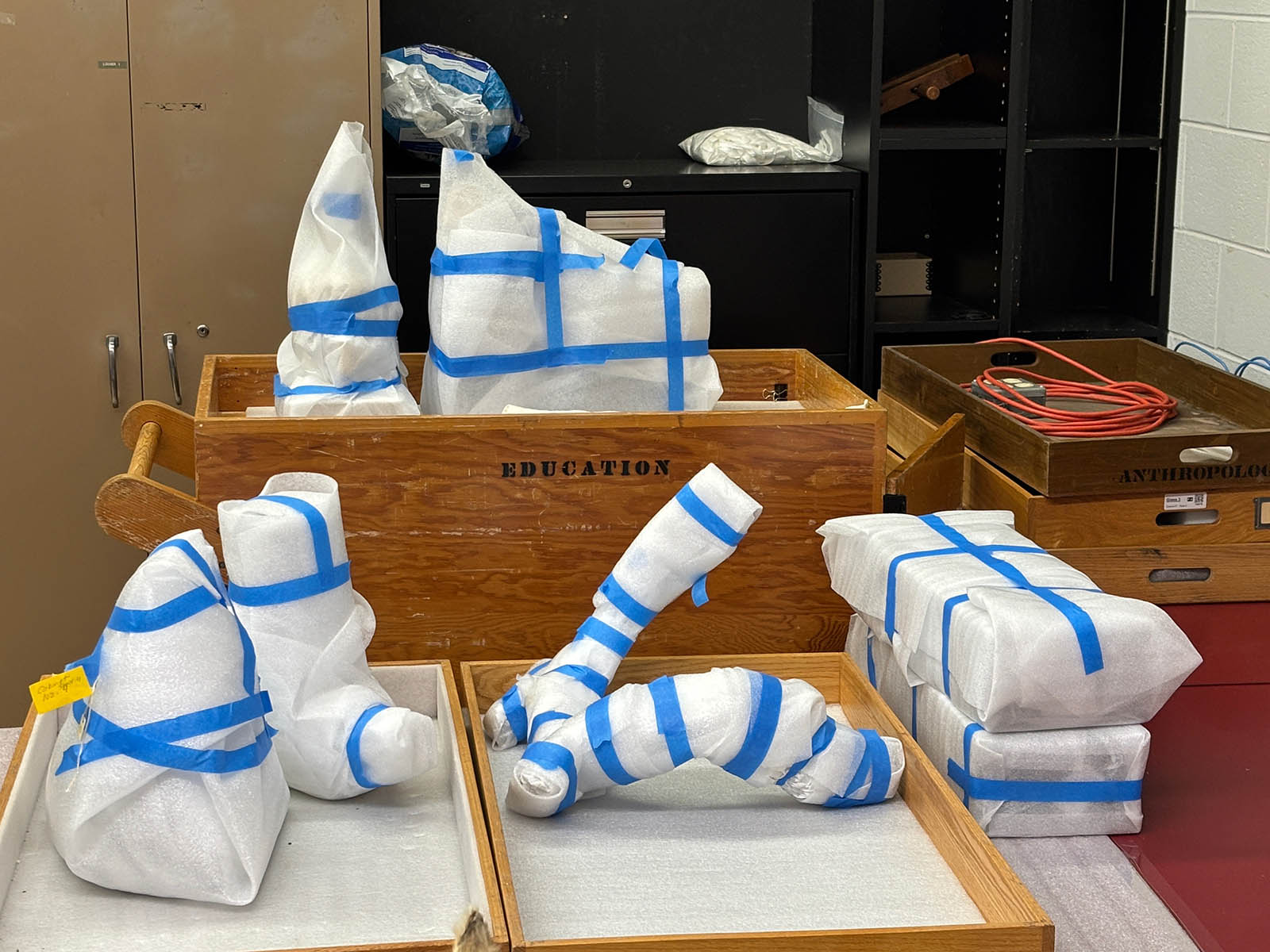 Milwaukee Public Museum continues the big job of packing to move its ...