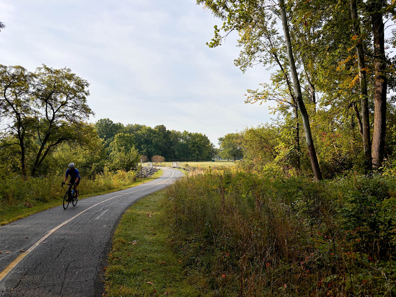 Busse Woods