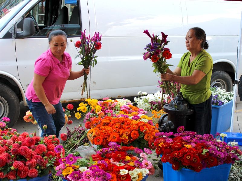 Farmer's Market